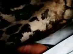 აბბი ჯვარი, როგორც დიქტონური დედოფალი